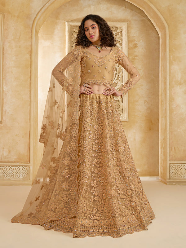 Golden Beige Net Sangeet Lehenga Choli with Silk And Stonework