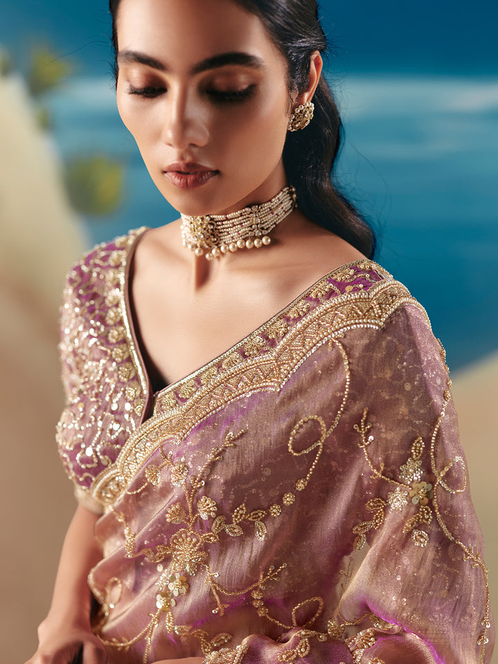 Woman wearing a traditional embroidered saree with a blurred background