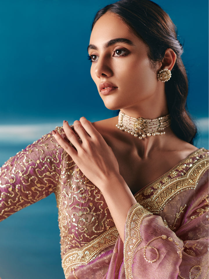 Woman wearing a traditional embroidered saree with a blue background