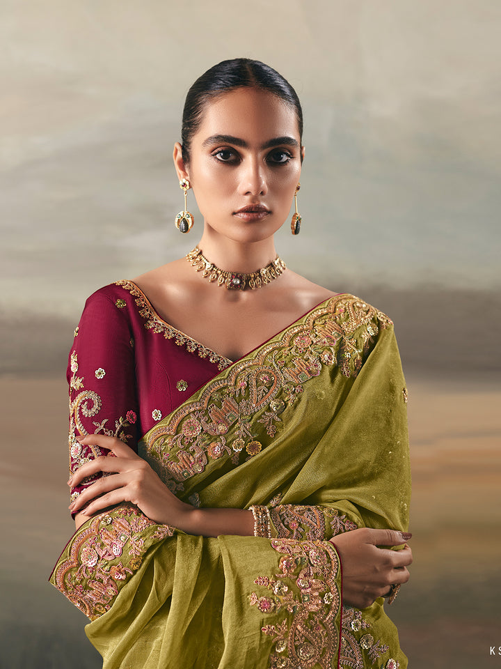 Woman wearing a traditional embroidered saree with a blurred background
